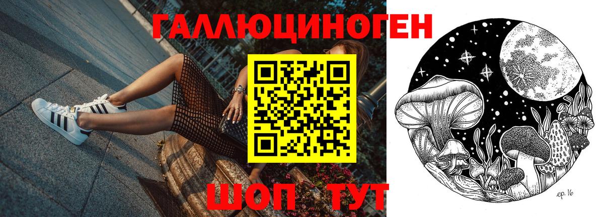 Псилоцибиновые грибы Psilocybine cubensis Благовещенск